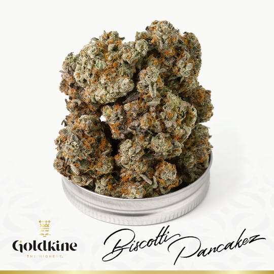 Goldkine - Goldkine Flower "Bigs" | Biscotti Pancakez - 1