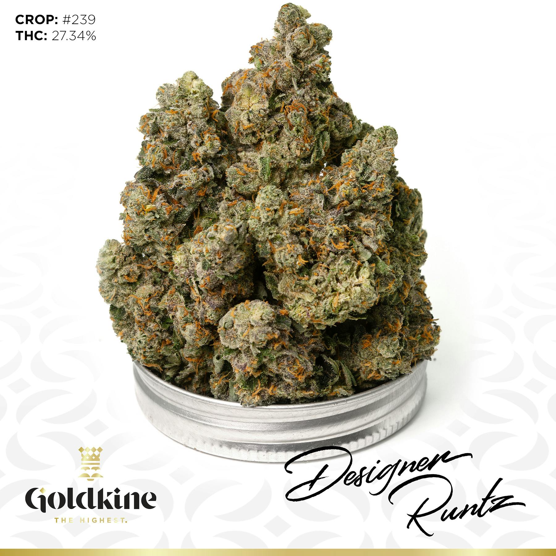 Goldkine - Goldkine Flower "Bigs" | Designer Runtz - 1