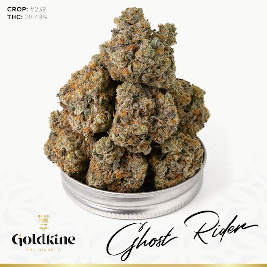 Goldkine - Goldkine Flower "Bigs" | Ghost Rider - 1