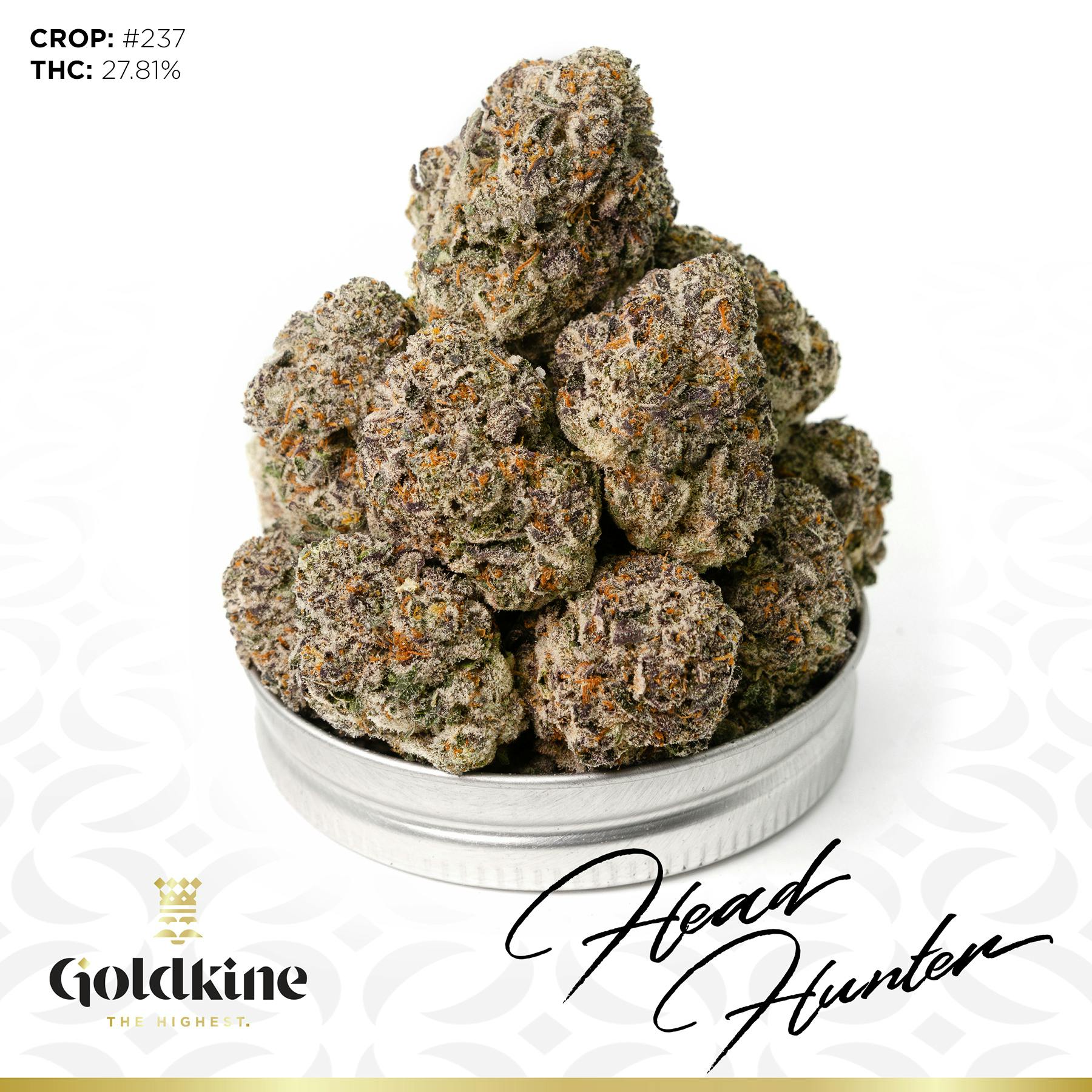 Goldkine - Goldkine Flower "Bigs" | Head Hunter - 1