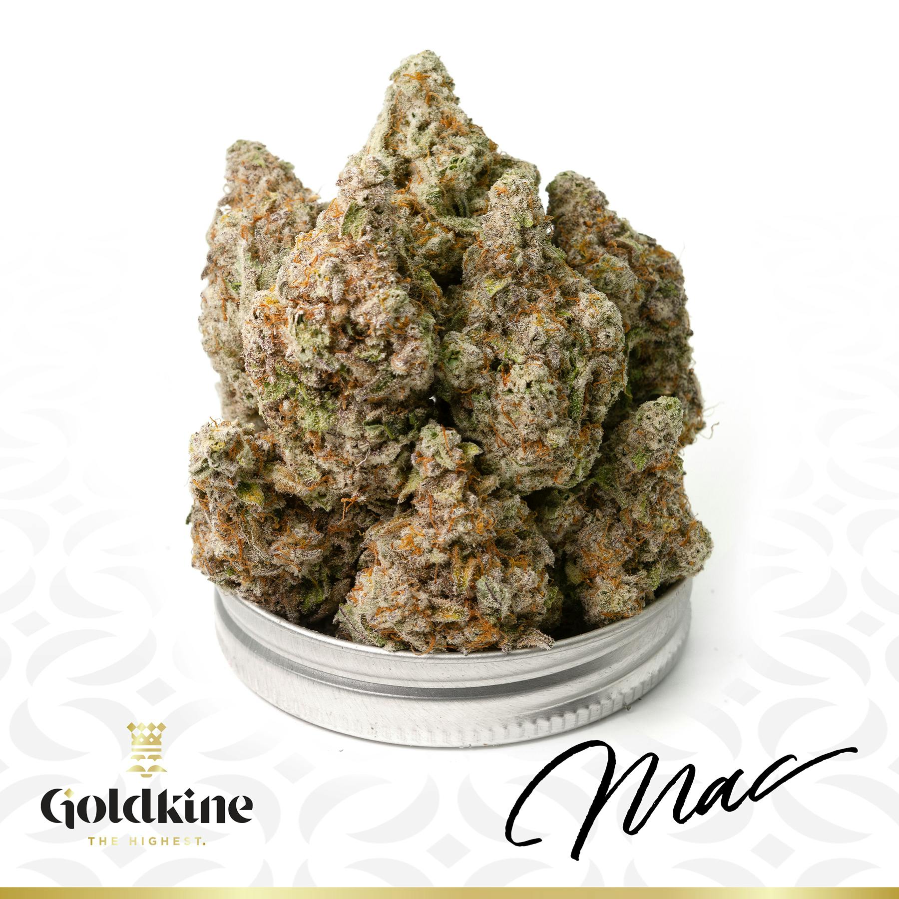 Goldkine - Goldkine Flower "Bigs" | MAC - 1