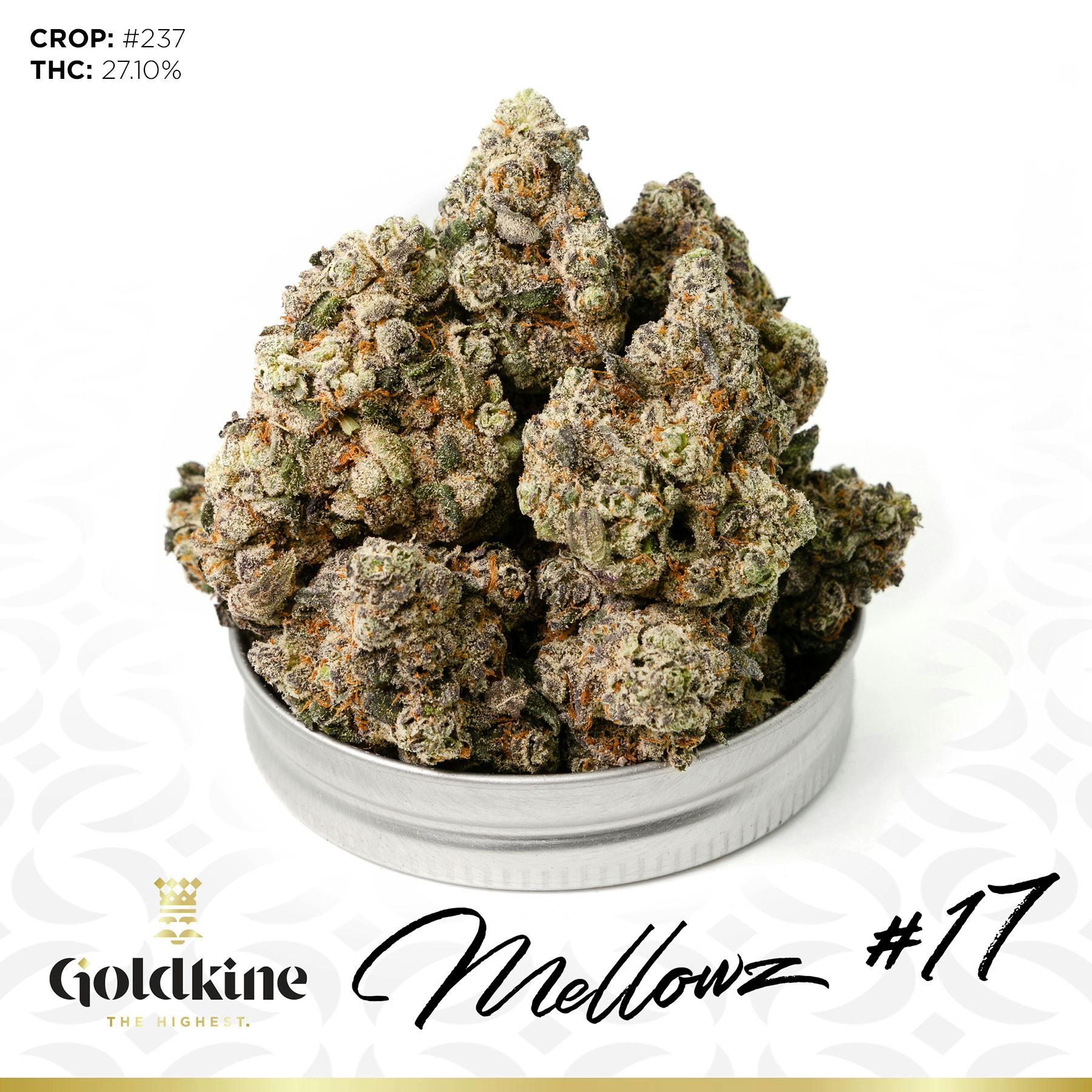 Goldkine - Goldkine Flower "Bigs" | Mellowz #17 - 1