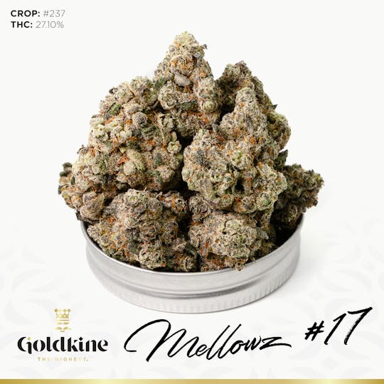 Goldkine - Goldkine Flower "Bigs" | Mellowz #17 - 1