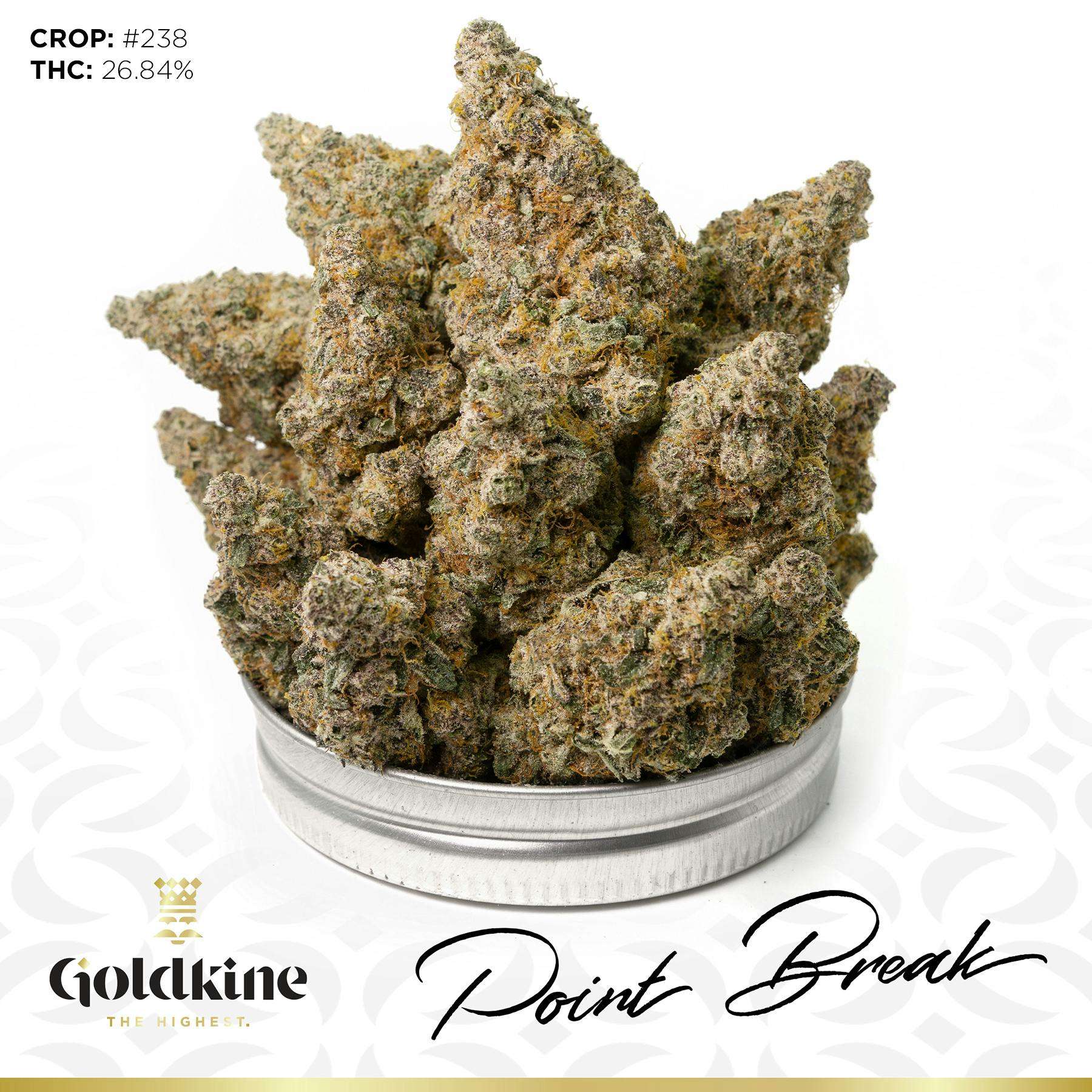 Goldkine - Goldkine Flower "Bigs" | Point Break - 1