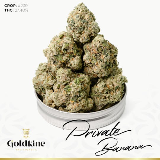 Goldkine - Goldkine Flower "Bigs" | Private Banana - 1