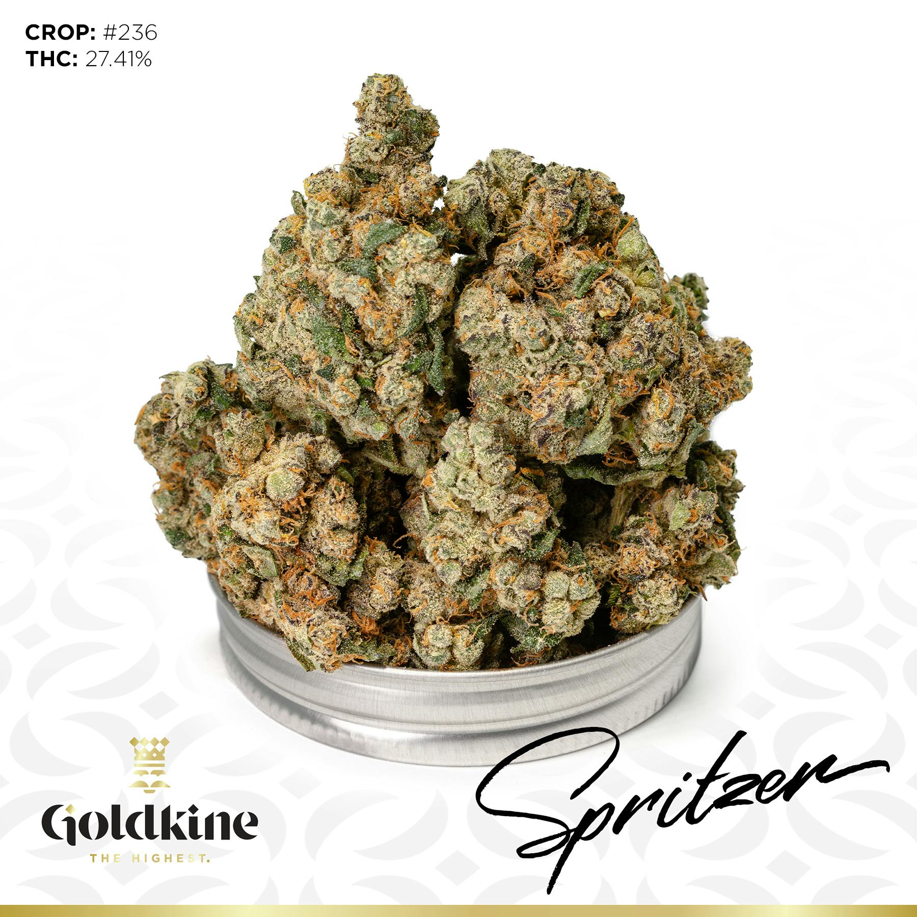Goldkine - Goldkine Flower "Bigs" | Spritzer - 1