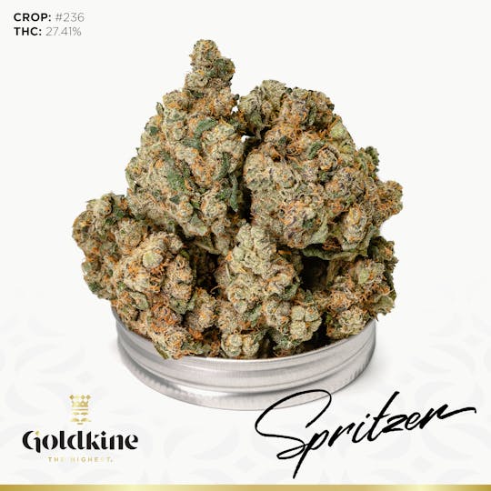 Goldkine - Goldkine Flower "Bigs" | Spritzer - 1