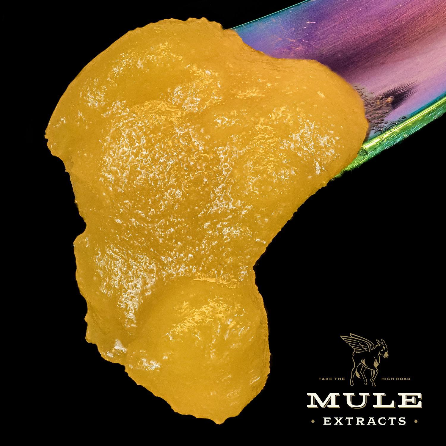 Mule Extracts - 1g Live Resin Badder - Monkey Glue 60.7% (Sativa) - 1