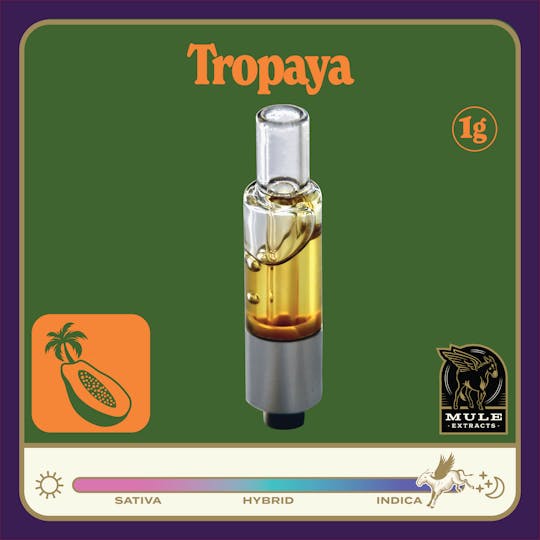 Mule Extracts - 1g Pure Live Resin Glass Cart - Tropaya 76.5% (Indica) 8.2% Terps - 1