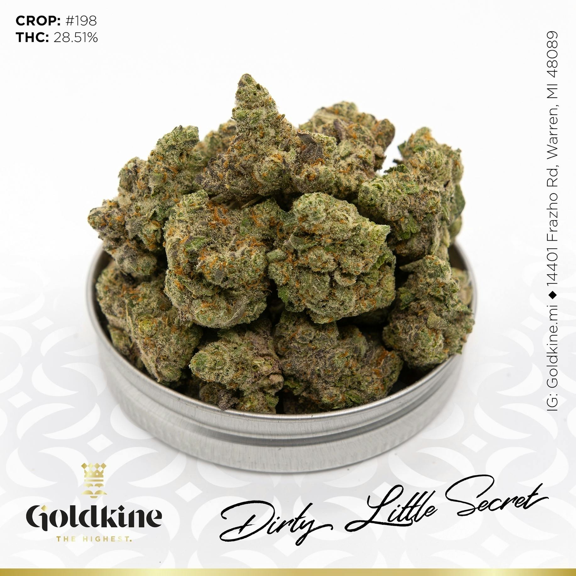 Goldkine - Goldkine Flower "Bigs" | Dirty Little Secret - 1
