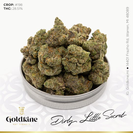 Goldkine - Goldkine Flower "Bigs" | Dirty Little Secret - 1
