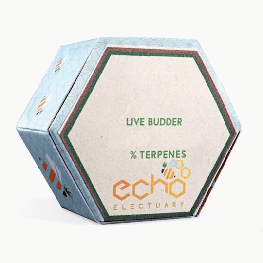 Echo Electuary - Banana Splitz 1g Live Budder - 1