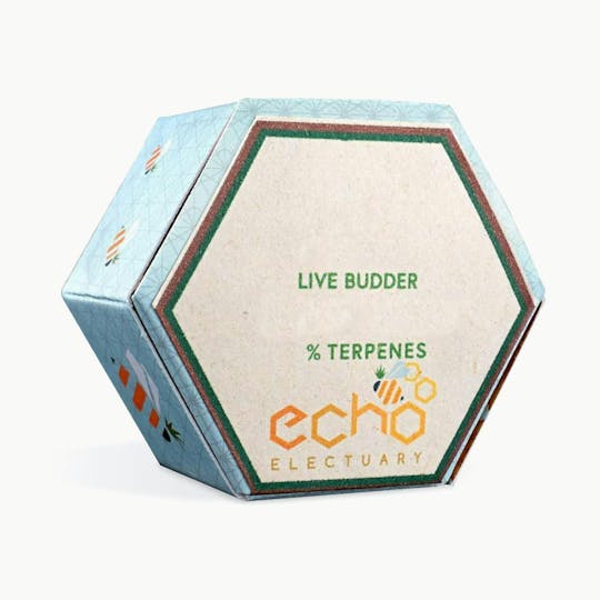 Echo Electuary - 1g RUNTZ HORCHATA Live Budder - 1