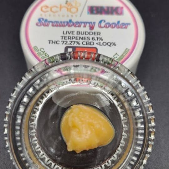 Echo Electuary - Strawberry Cooler Live Budder 1g - 1