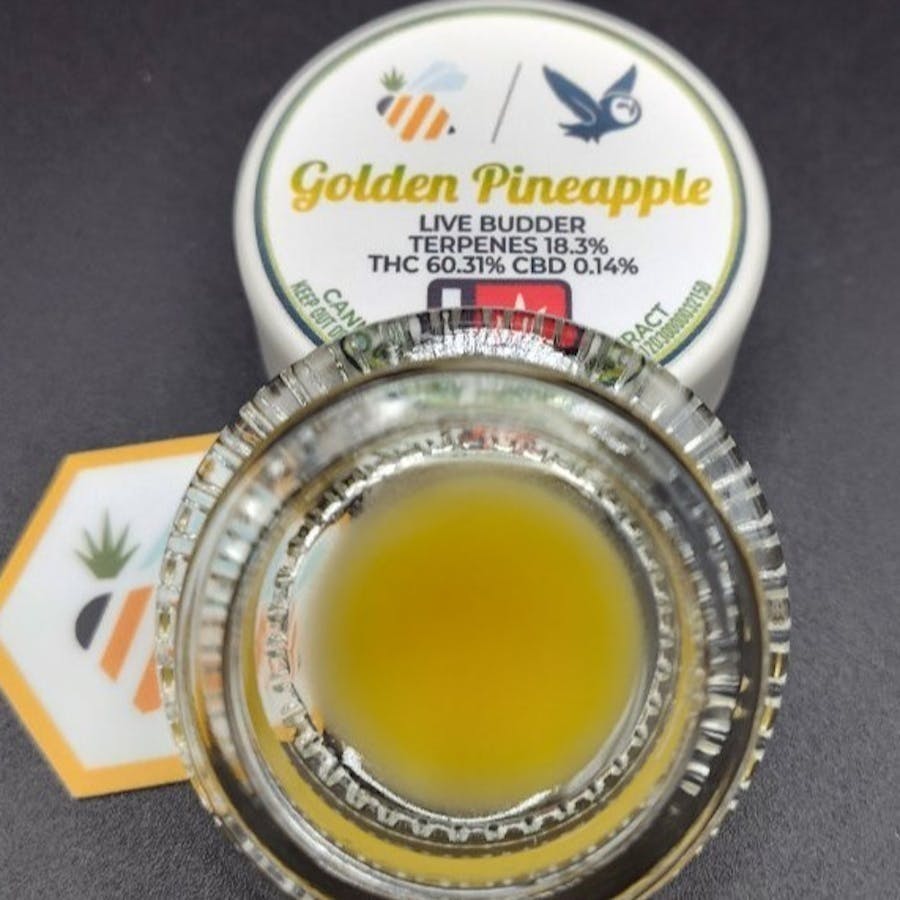 Echo Electuary - Golden Pineapple Live Budder 1g - 1