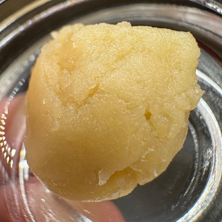 Echo Electuary - Honey Banana Live Rosin 1g - 1