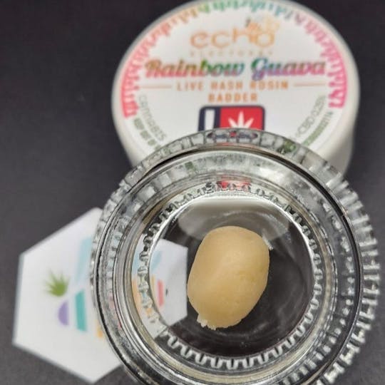 Echo Electuary - Rainbow Guava Live Rosin 1g - 1