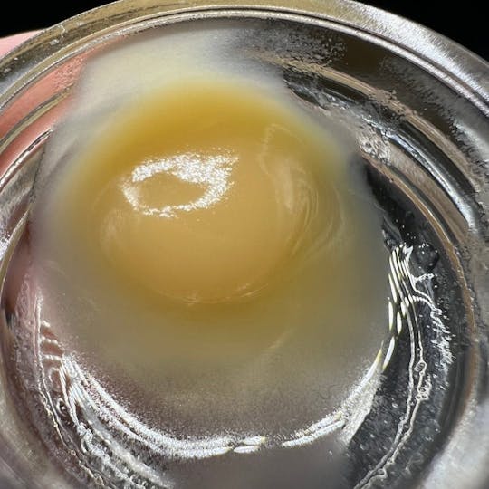 Echo Electuary - Amaretto (LLO Collab) Live Budder 1g - 1