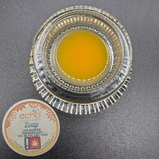 Echo Electuary - Zoap Live Budder 1g - 1