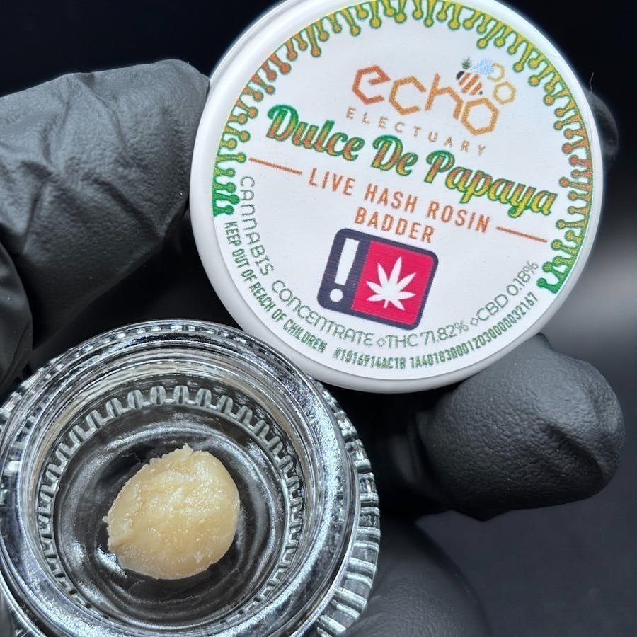 Echo Electuary - Dulce De Papaya Live Rosin 1g - 1