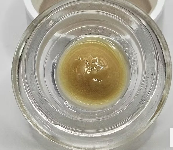 Echo Electuary - Black Scotti Live Budder 1g - 1