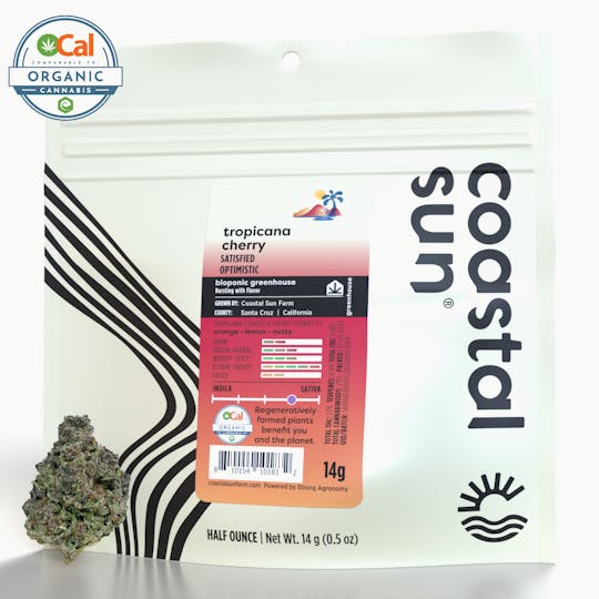 Coastal Sun - Tropicana Cherry Greenhouse Flower 14g - 1