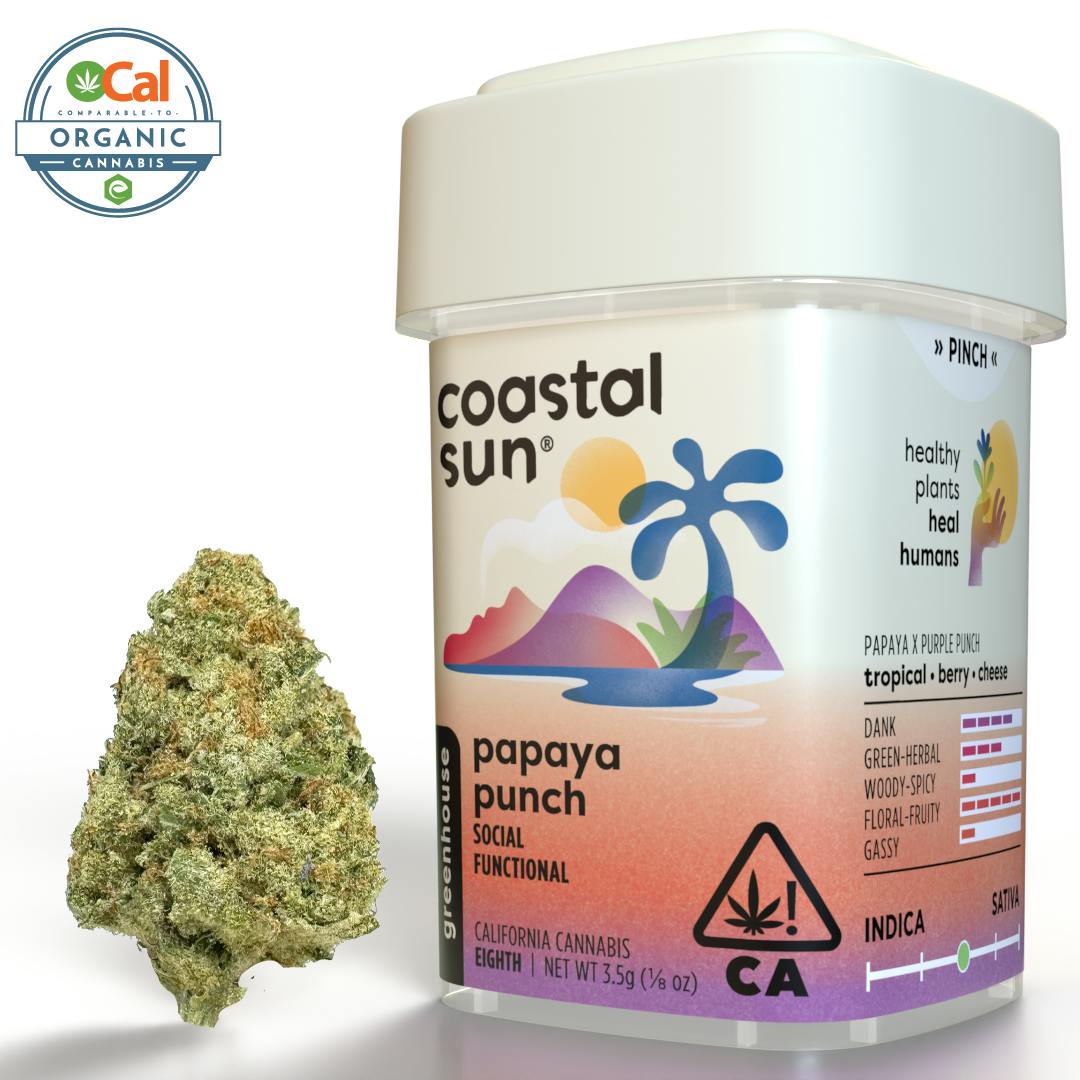 Coastal Sun - Papaya Punch Greenhouse Flower 3.5g - 1
