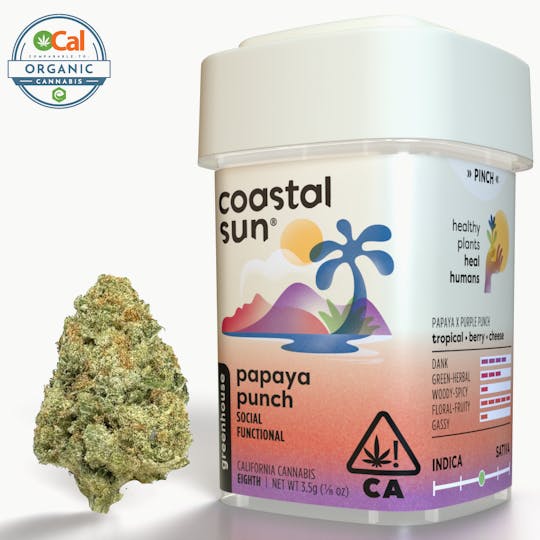 Coastal Sun - Papaya Punch Greenhouse Flower 3.5g - 1