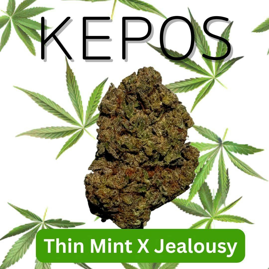 Nu Cannabis Brand - Kepos - Thin Mints X Jealousy 14g - PREMIUM FLOWER - 1