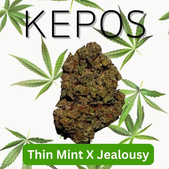 Nu Cannabis Brand - Kepos - Thin Mints X Jealousy 14g - PREMIUM FLOWER - 1