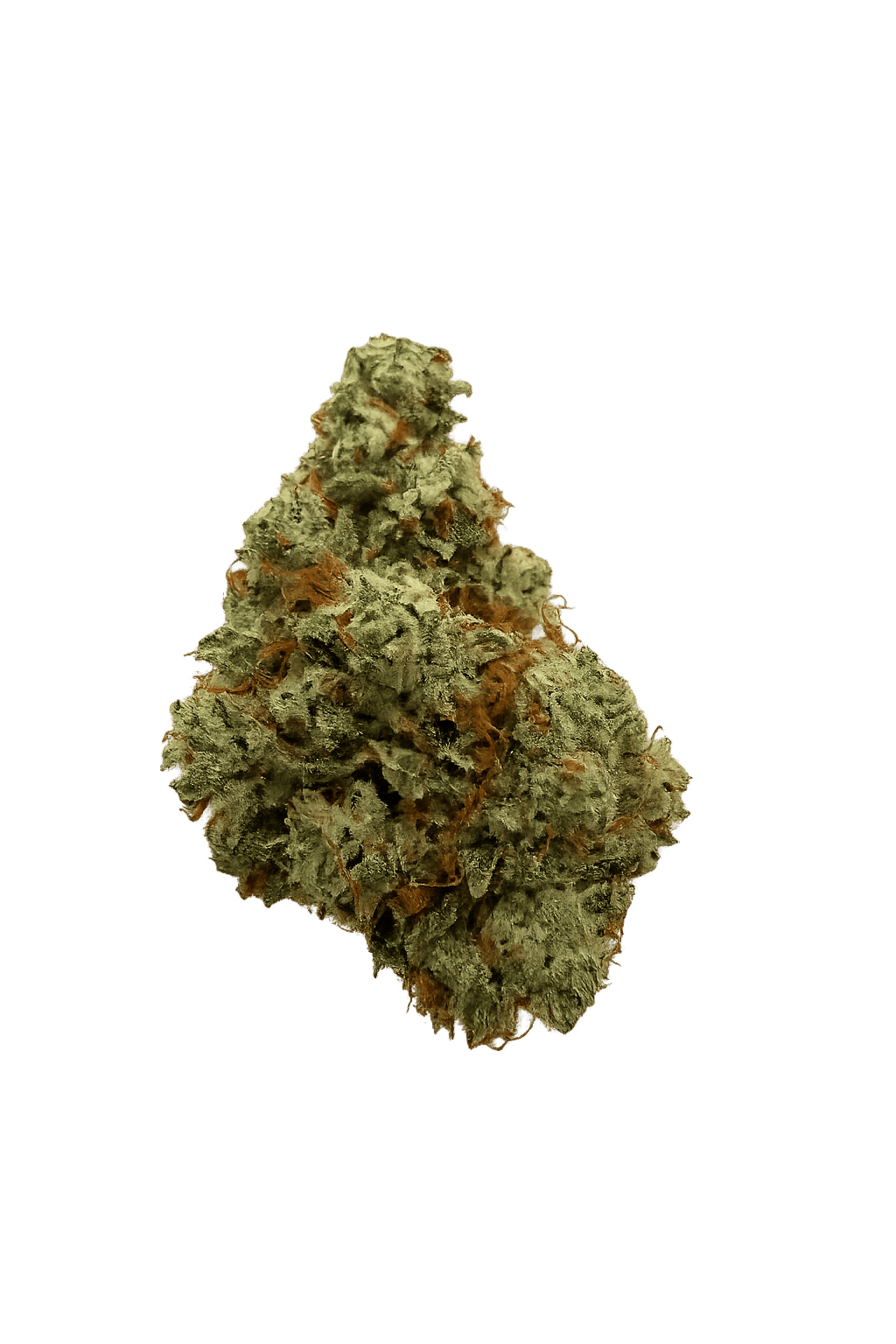 Magic Brothers - Gorilla Glue (Hybrid) - Top Shelf Flower - 1/2oz. 14g. - 1