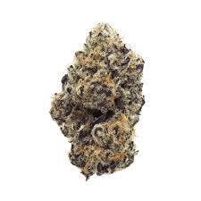 Cannafeen - PURPLE PUNCH - 1