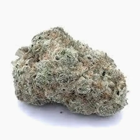 Cannafeen - Cannafeen | Purple Punch | Big Buds - 1