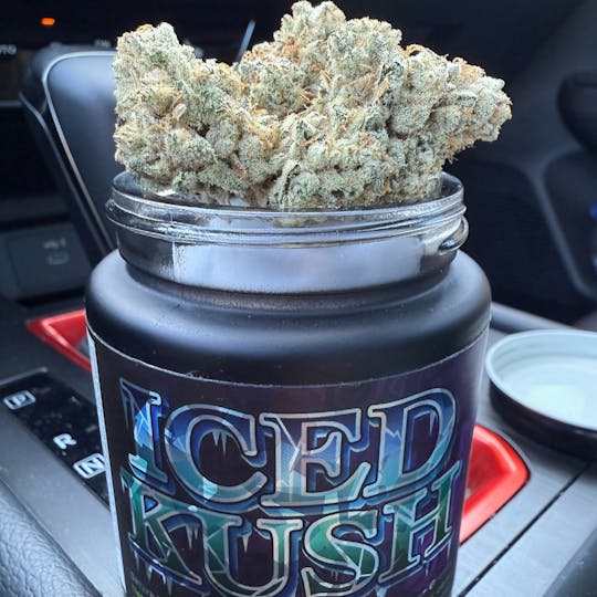 FIERCE CULTIVATION - ICED KUSH - 1