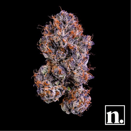 Niche - Blue Nerdz | 3.5g - 1