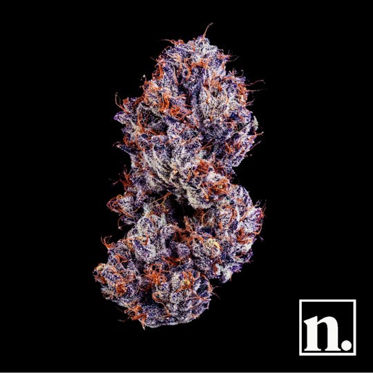 Niche - Blue Nerdz | 3.5g - 1