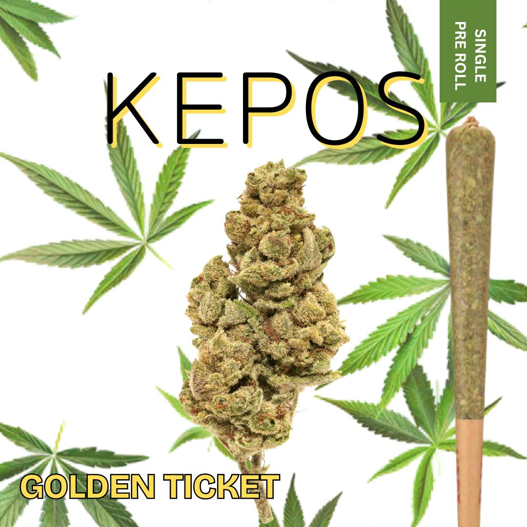 Nu Cannabis Brand - Kepos - Golden Ticket 1.2g Pre-Roll - PREMIUM FLOWER - 1
