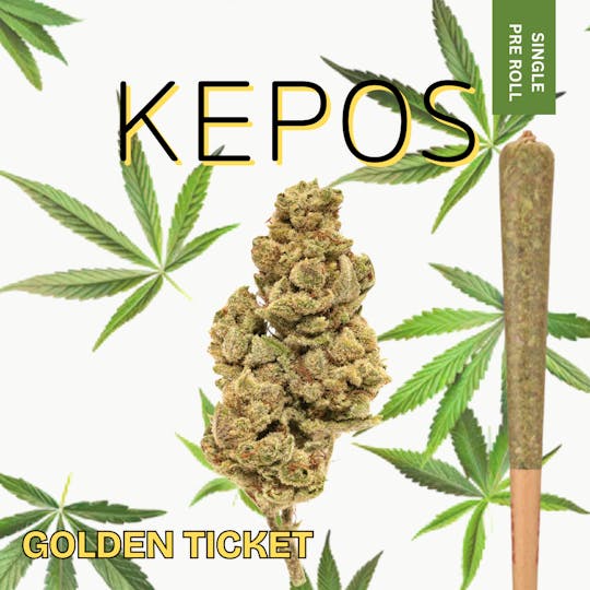Nu Cannabis Brand - Kepos - Golden Ticket 1.2g Pre-Roll - PREMIUM FLOWER - 1