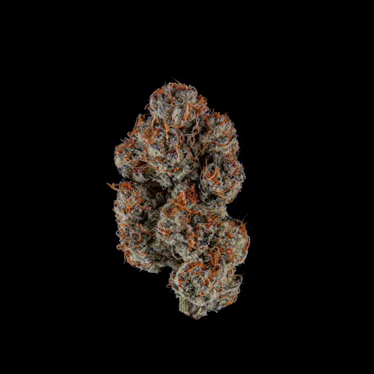 Zenoa - Animal Mints - 1