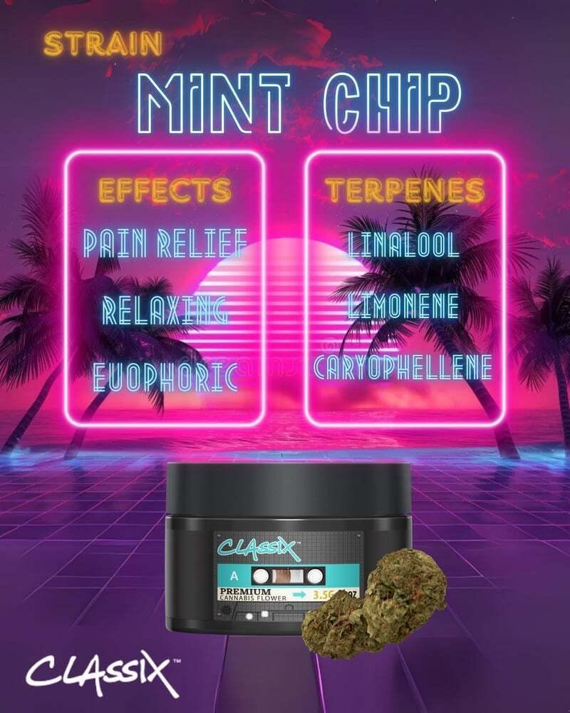 Classix - Classix 3.5g Flower - Mint Chip - 1