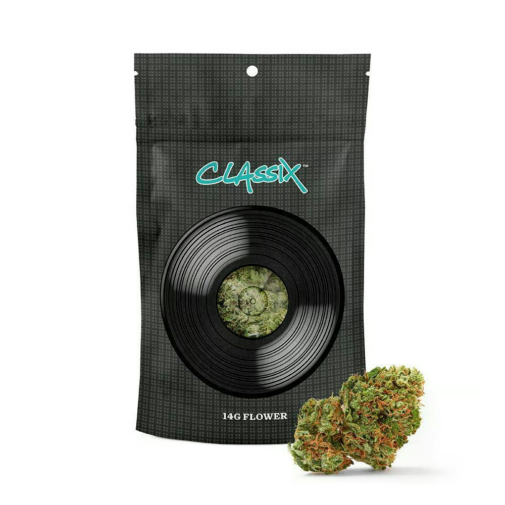 Classix - Classix 14g Flower - Black Triangle - 1
