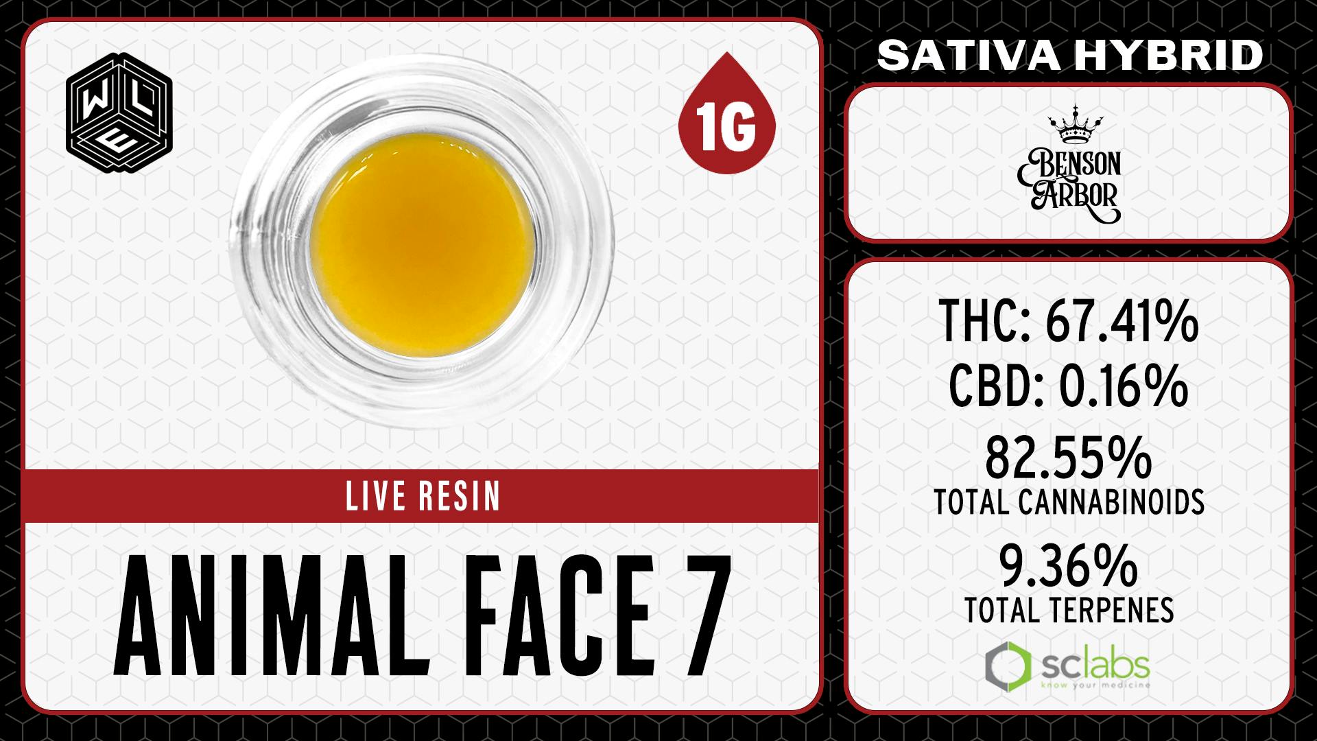 White Label Extracts - WLE | Animal Face 7 | Live Resin Sugar Sauce (1g) Sativa Hybrid - 1