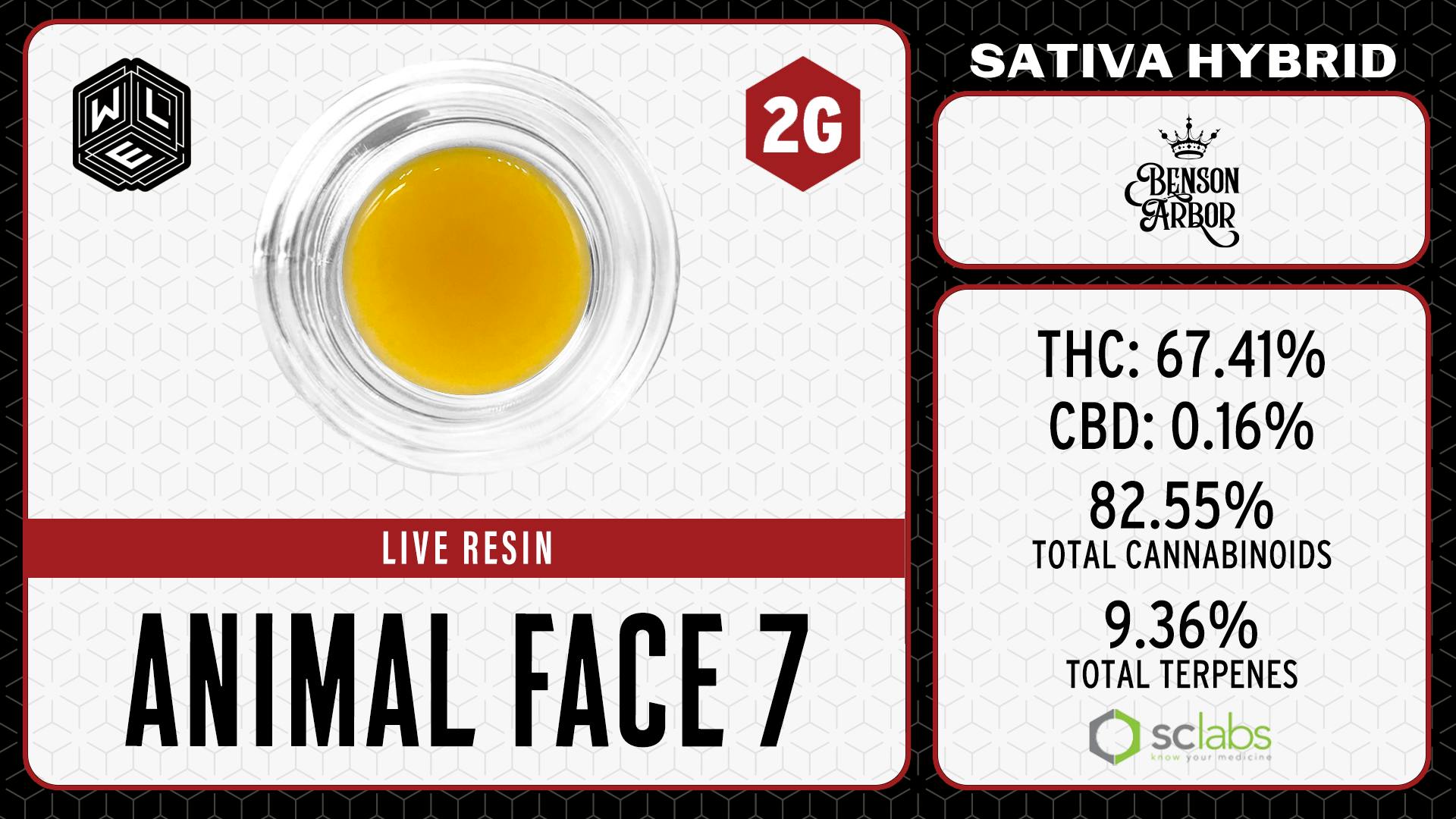 White Label Extracts - WLE | Animal Face 7 | Live Resin Sugar Sauce (2g) Sativa Hybrid - 1