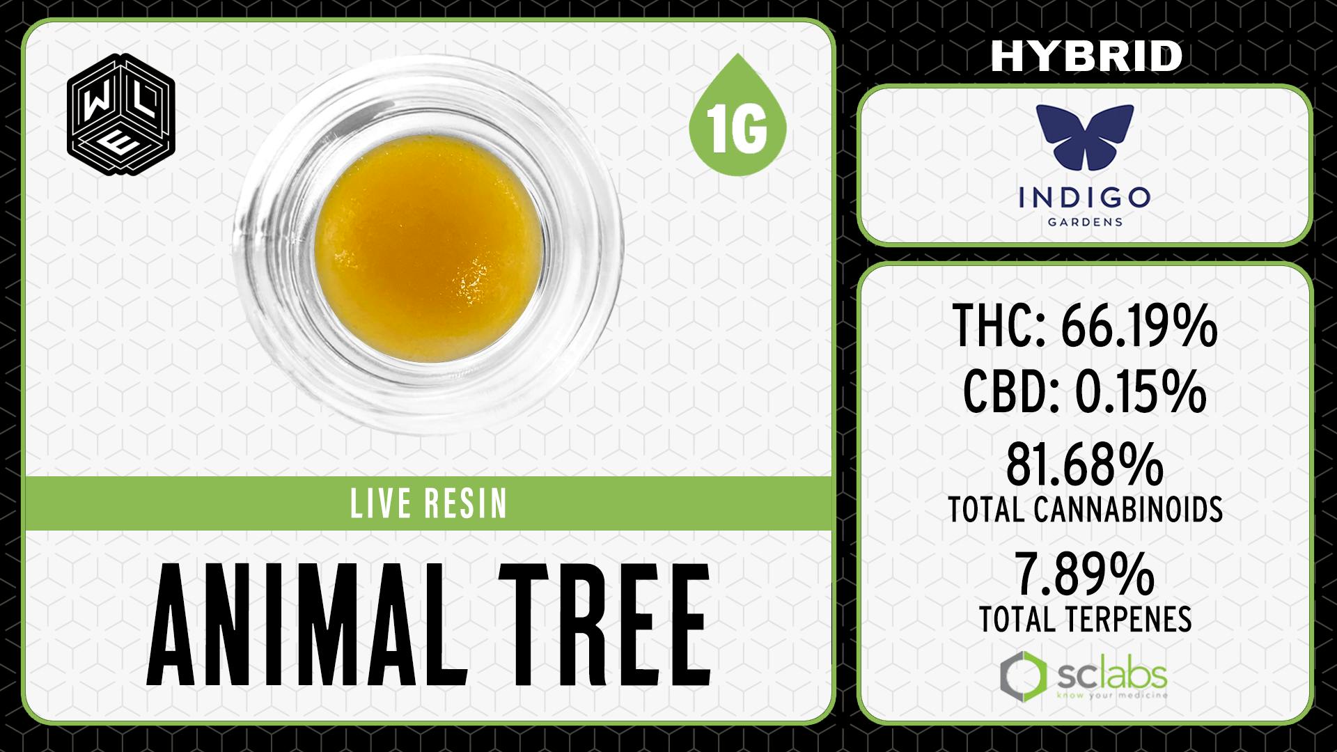 White Label Extracts - WLE | Animal Tree | Live Resin Sugar Sauce (1g) Hybrid - 1