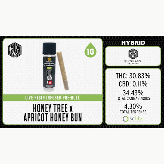 White Label Extracts - WLE | Honey Tree x Apricot Honey Bun | Live Resin Infused Pre-Roll (1g) - 1