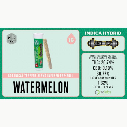 White Label Extracts - WLE | Jacked Up J's Watermelon | Botanical Blend Infused Pre-Roll 1PK (1g) - 1