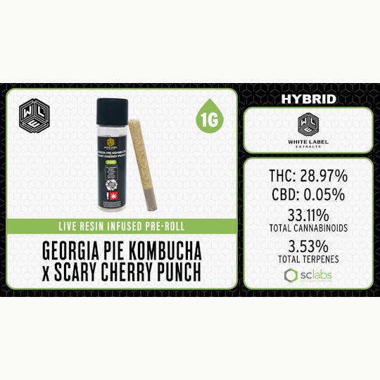 White Label Extracts - WLE | Georgia Pie Kombucha x Scary Cherry Punch | Live Resin Pre-Roll (1g) - 1