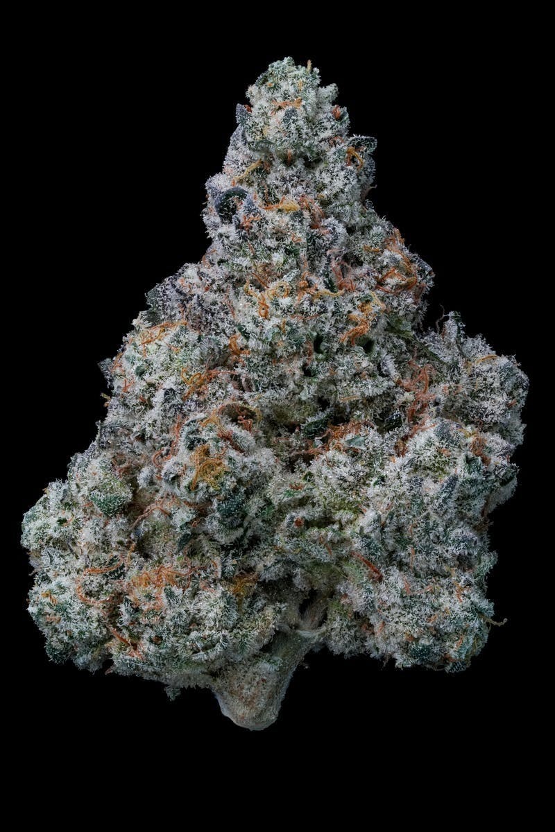 AETHER FIELDS - Aether Fields | Crater Cake | Big Buds | 7g - 1