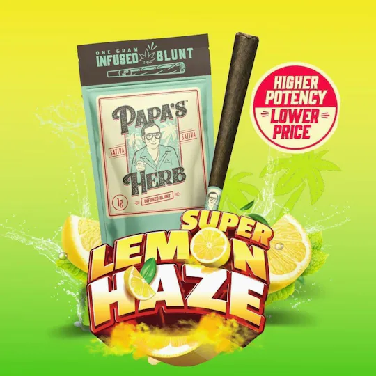 Papa's Herb - Super Lemon Haze | Infused Blunt | 1g - 1