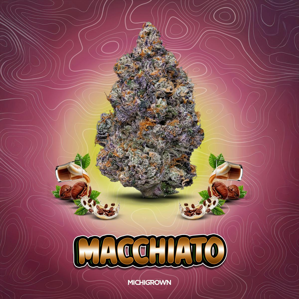 MICHIGROWN - Macchiato - 3.5 Grams Premium Flower - Jars - 1
